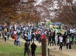 IMG_1169.jpg